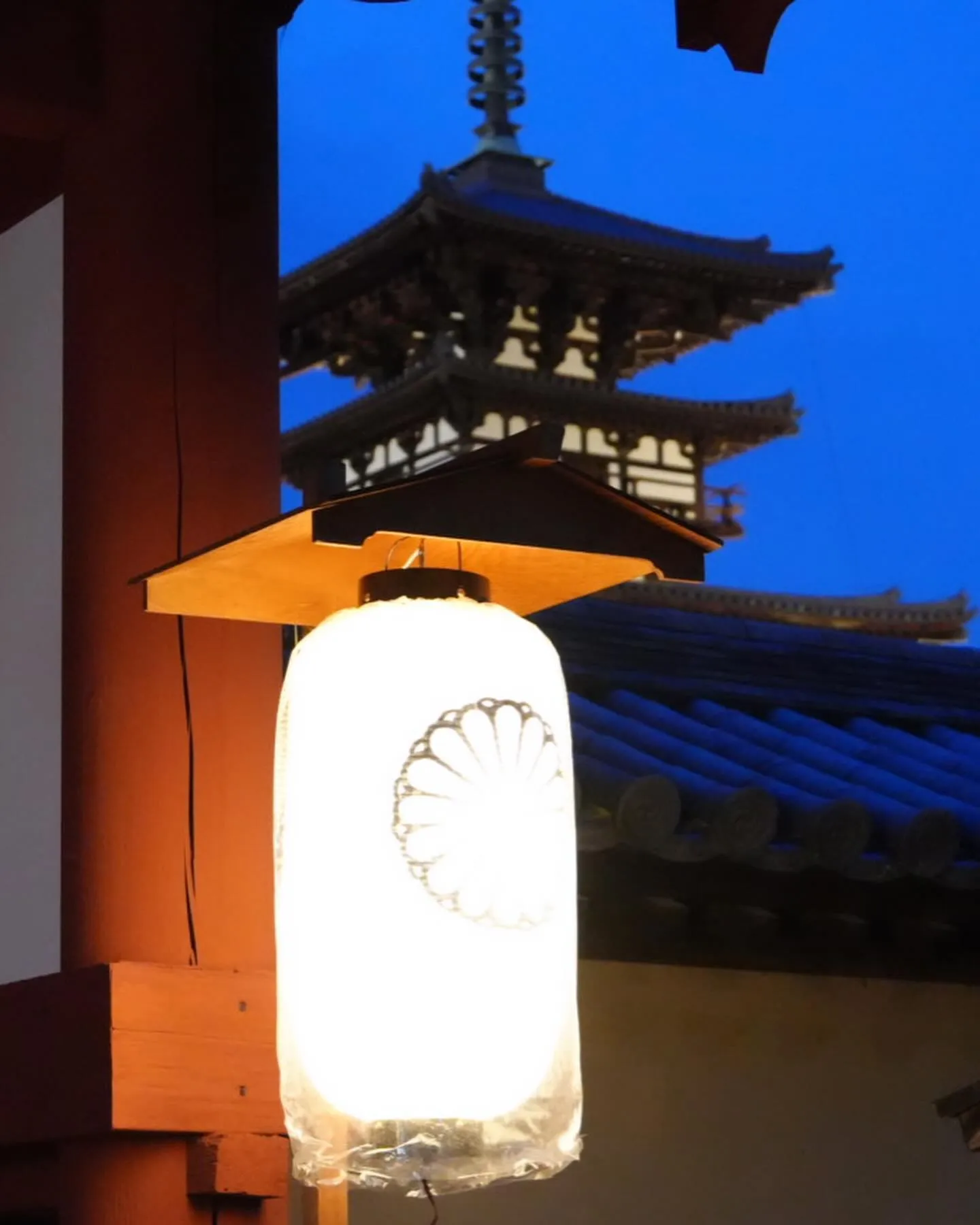 先日、奈良にある薬師寺の鬼追い式を見物してきました。