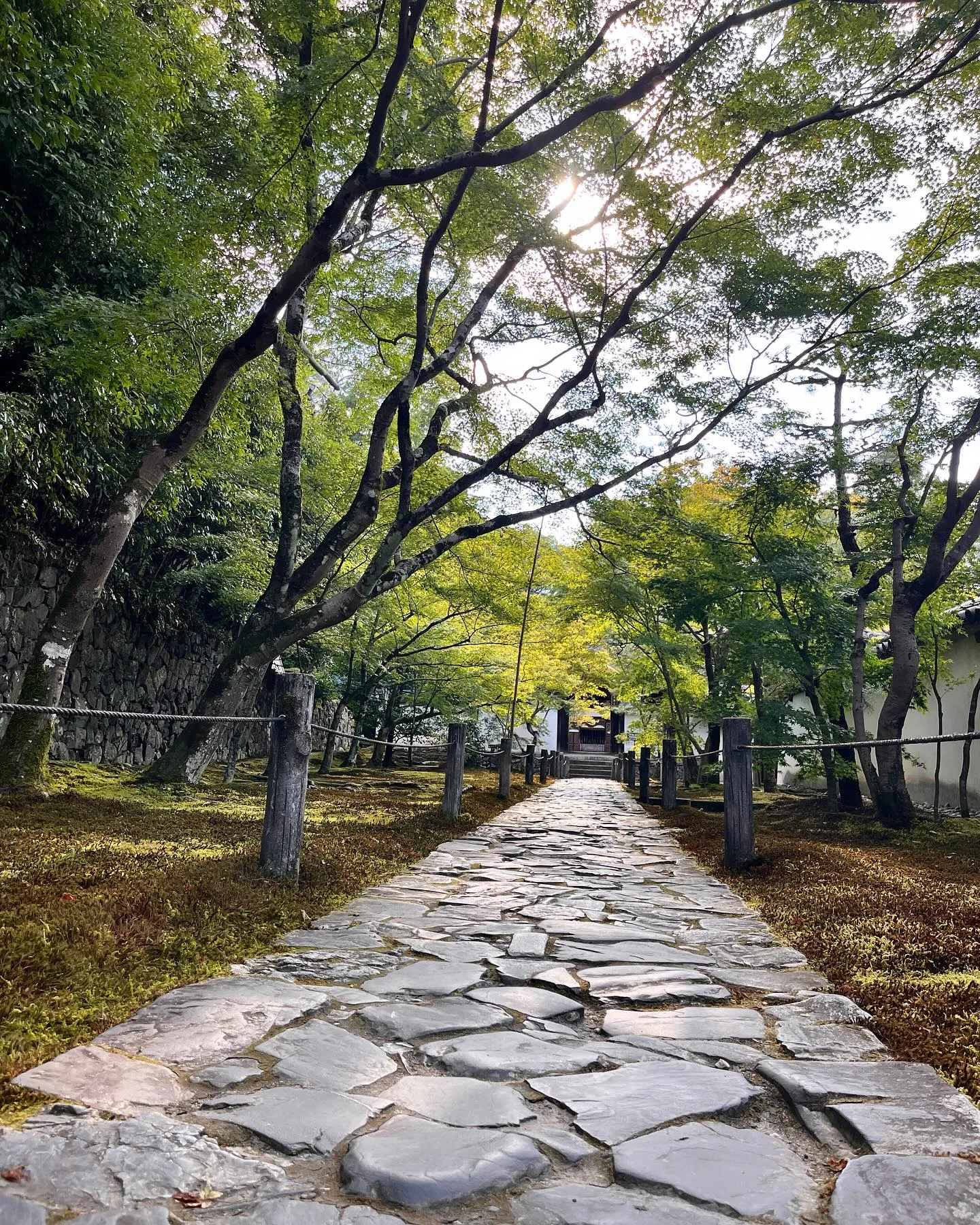 京都の一休寺へ行ってきました。