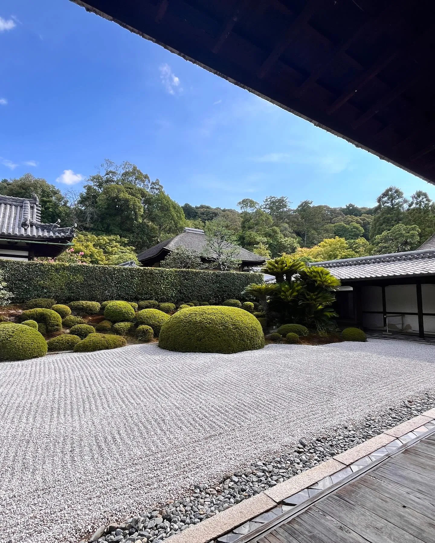 京都の一休寺へ行ってきました。