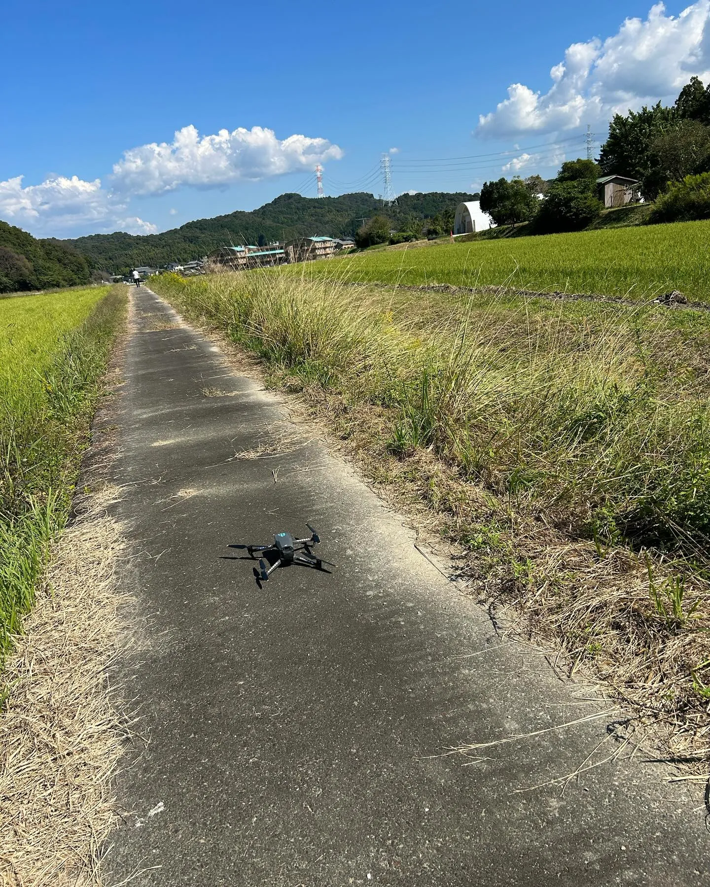 今日は岡崎にある